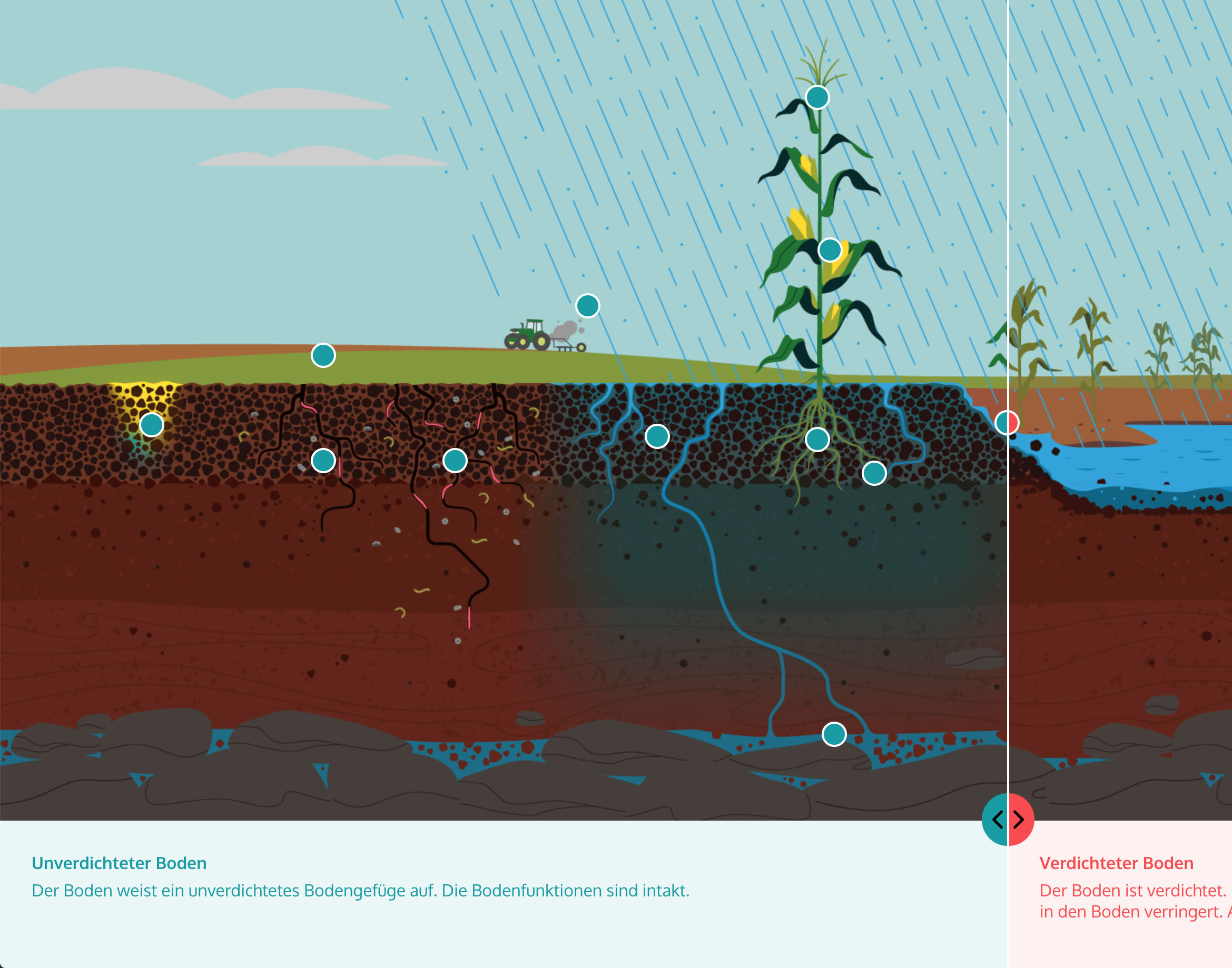 ../images/soil_assist_3.jpg